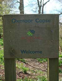 Woodland Trust Volunteer Outdoor